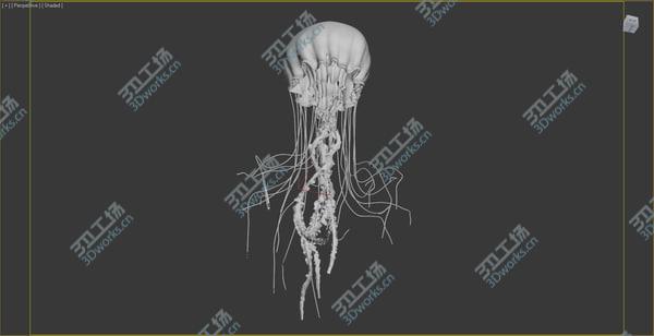 images/goods_img/20210312/jellyfish ANIMATED/5.jpg
